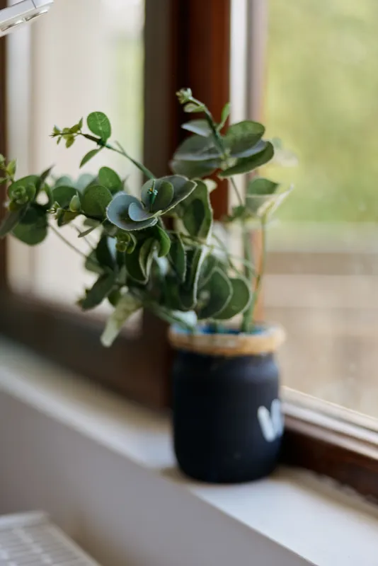 Closeup of a potted plant on a sunlit windowsill, green leaves in a ceramic pot. Focus on home aesthetics, indoor greenery, and daily life at home with soft natural light, creating a calm mood that