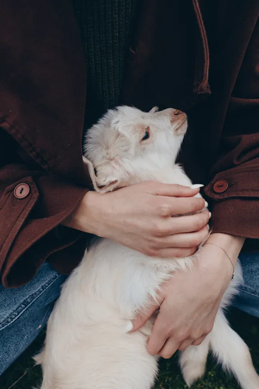 A young woman gently holds a white baby goat in her arms wearing a brown jacket and blue jeans in a natural outdoor setting, capturing a tender lifestyle moment.