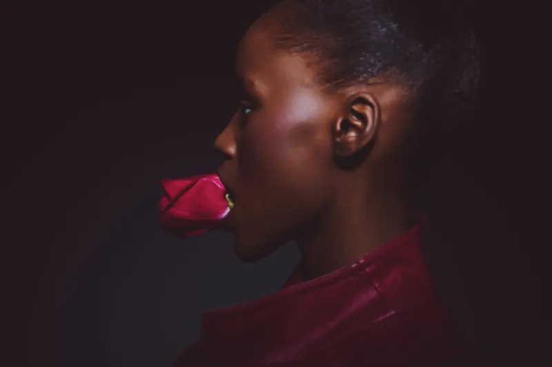 Profile of a dark skinned African woman holding a red rose in her mouth against dark background. Concept of beauty, elegance, floral, and portrait with deep color contrast.