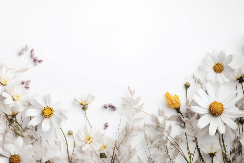 beautiful white blossom celebration floral nature background flower wedding garden spring. Generative AI.