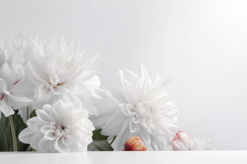 bloom background spring celebration floral wedding blossom nature white beautiful flower. Generative AI.