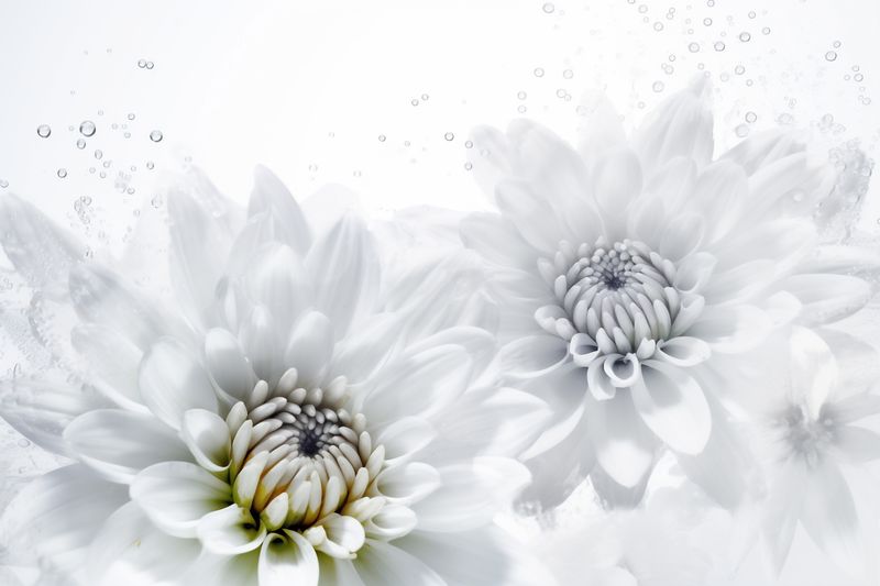 spring nature wedding green floral background blossom beautiful white flower celebration. Generative AI.