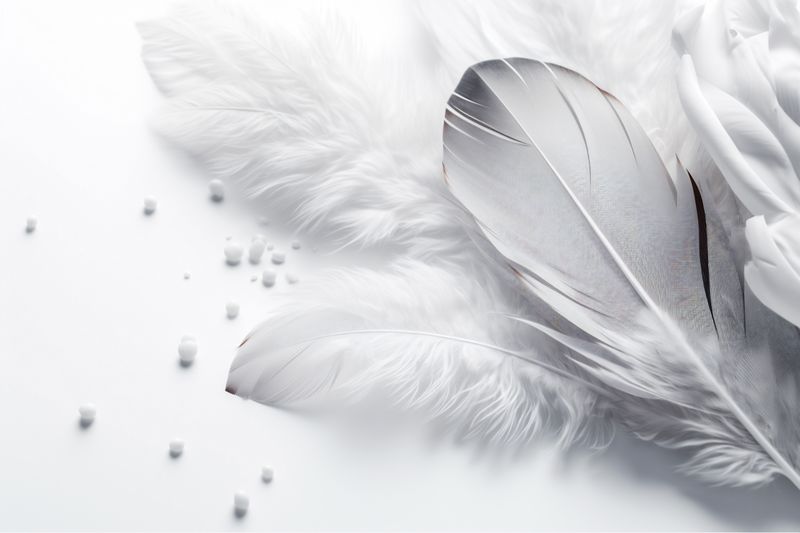 flower wedding beautiful blossom spring celebration floral garden white background nature. Generative AI.