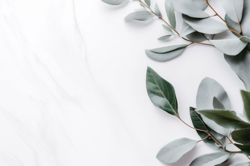 blossom white spring wall flower background beautiful wedding celebration floral nature. Generative AI.