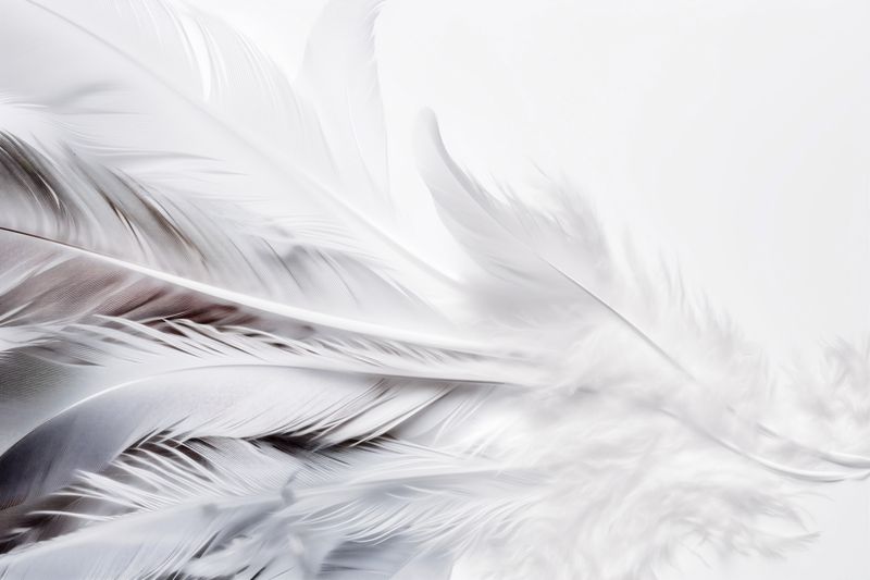 spring background wedding floral blossom celebration white flower beautiful nature bright. Generative AI.