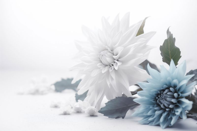 spring flower beautiful background white wedding celebration floral blossom nature leaf. Generative AI.