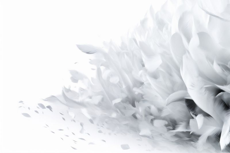 wedding white background nature celebration beautiful valentines floral day blossom spring flower. Generative AI.