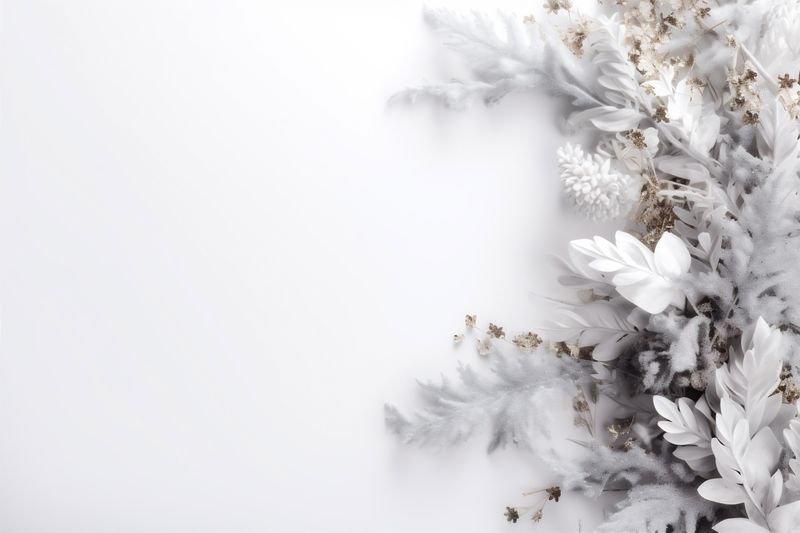 blossom celebration flower white wall nature spring beautiful floral background space copy. Generative AI.