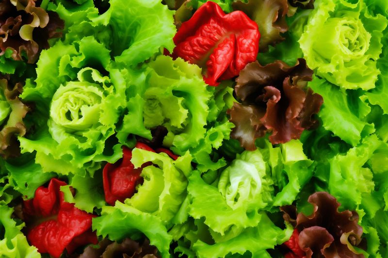 salad healthy diet vegetable green vegetarian rustic dark food background fresh. Generative AI.
