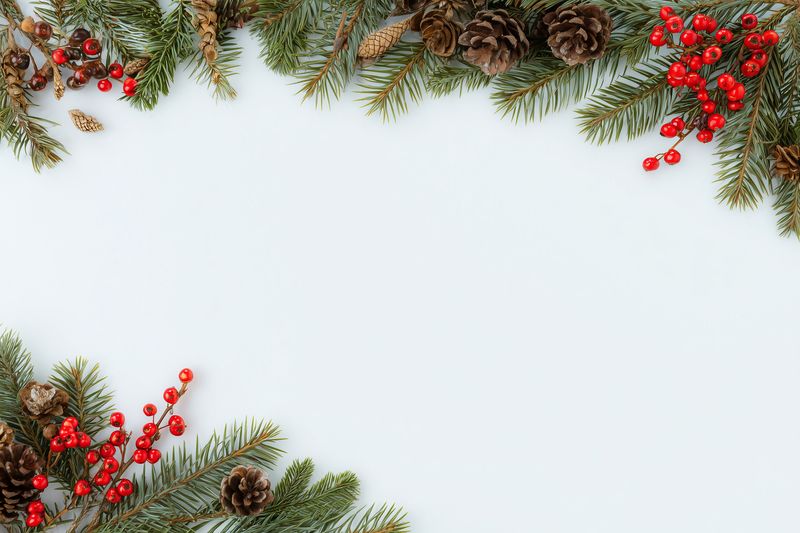 Festive flat lay frame of evergreen pine branches, pine cones and bright red berries arranged on a clean white background, seasonal border perfect for holiday cards and invitations.