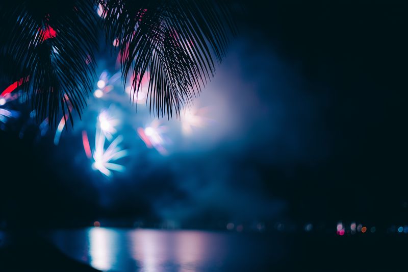 Tropical night scene with colorful fireworks bursting over a tranquil sea, palm fronds silhouetted in the foreground and soft reflections glimmering on the water.