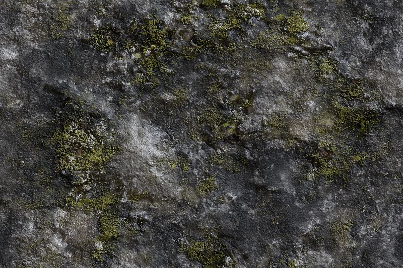 Close-up of a damp textured rock surface covered with patches of green moss and lichen, revealing natural rough stone details and subtle wet highlights for organic background use.
