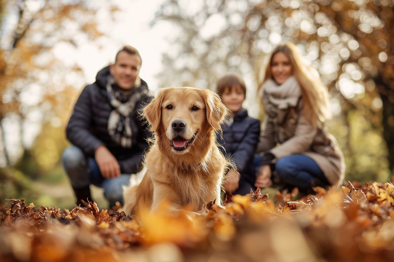 Happy family enjoying an autumn park scene with a golden retriever lying in colorful fallen leaves, parents and child smiling in warm soft light, relaxed casual clothing and playful bonding moment.