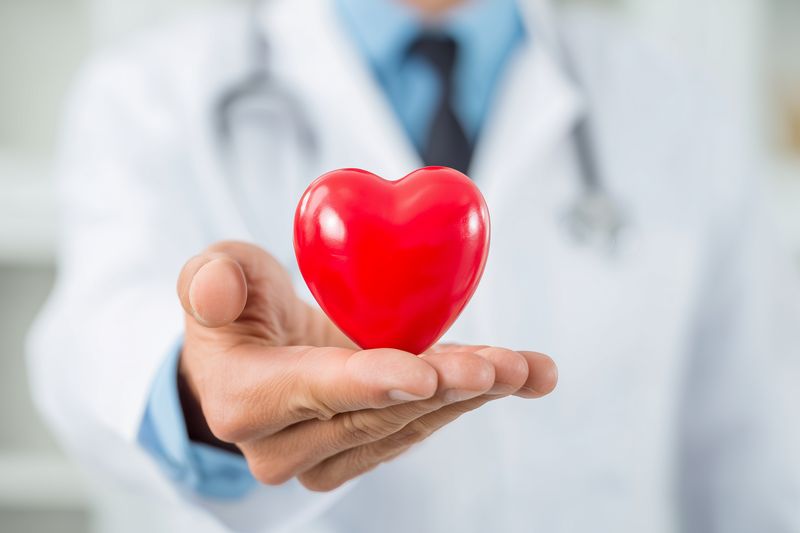 Medical professional in white coat presenting a bright red heart model on an open palm, symbolizing compassionate cardiac care, heart health, prevention and patient trust.