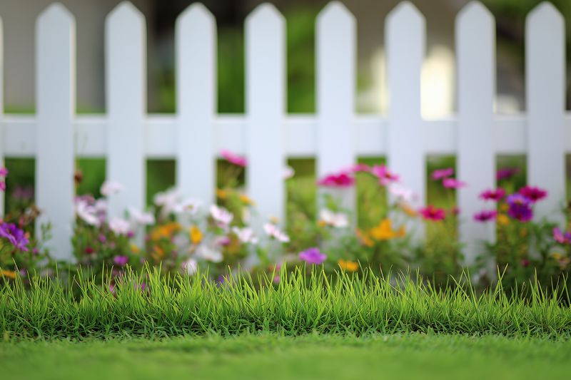 Close-up of a lush green lawn and vibrant wildflowers with a classic white picket fence in soft focus, creating a serene suburban garden scene full of summer charm and warm natural light.
