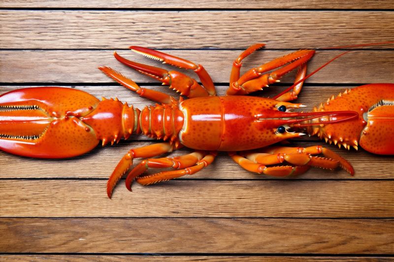eat seafood crawfish red crayfish boiled cooked lobster food claw background. Generative AI.