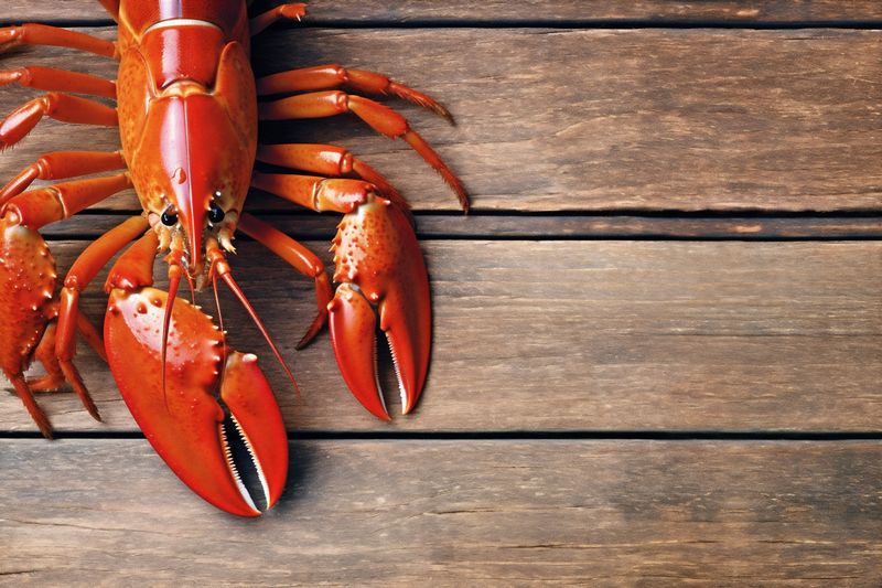 background cooked crayfish red lobster dinner crawfish food claw boiled seafood. Generative AI.