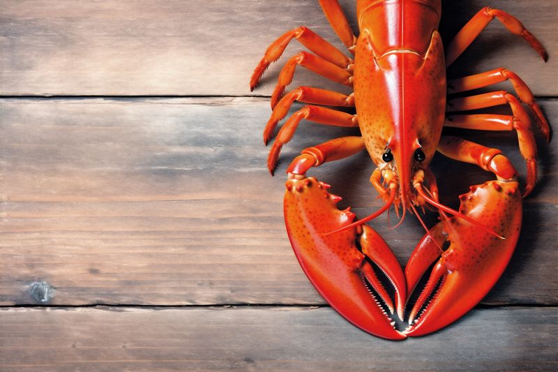 food space copy red crayfish cooked boiled lobster crawfish claw seafood background. Generative AI.