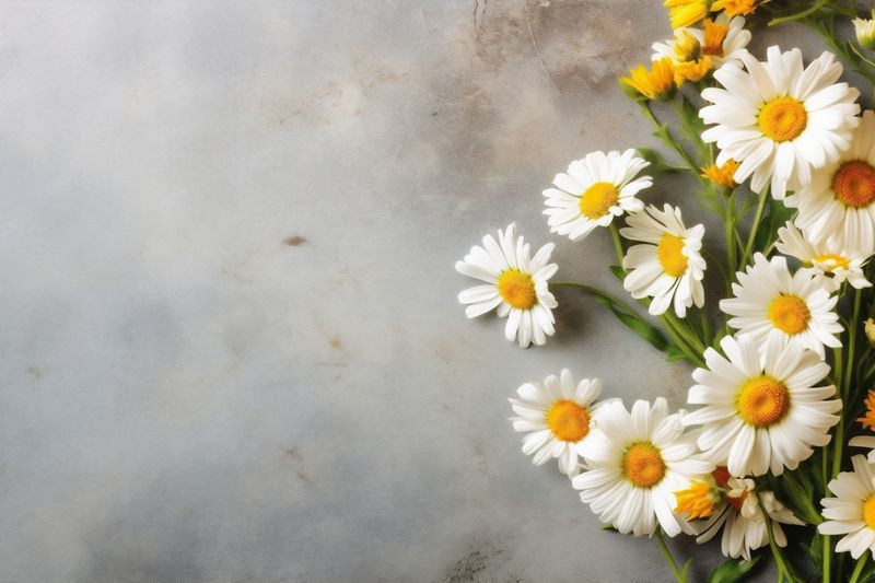 pink blossom flower bouquet floral decoration leaf valentine wedding background nature. Generative AI.