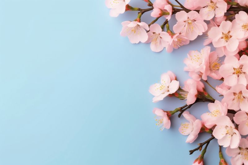 wedding poster nature flower pink bouquet floral valentine blossom background leaf. Generative AI.