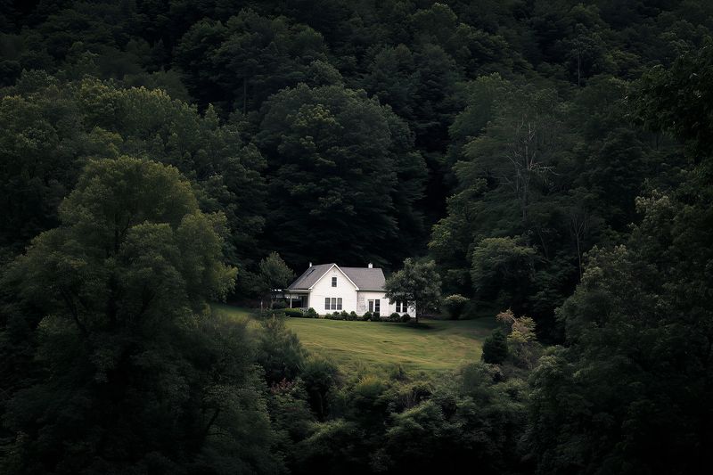 A solitary white cottage nestled in a lush green forest clearing, surrounded by dense trees and natural vegetation, evoking tranquility, seclusion, and rustic rural charm under soft light.