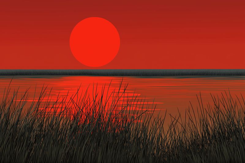 A dramatic red sunset over calm marsh water, with a large glowing sun near the horizon and dark reeds in the foreground creating striking silhouettes and vivid reflections.
