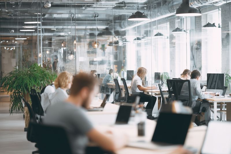 Modern open office with professionals working at shared desks, glass partitions, laptops and greenery creating a bright collaborative workspace focused on productivity and creativity.