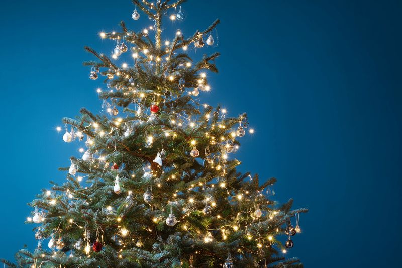 Festive decorated evergreen tree glowing with warm white string lights and glass ornaments, creating a cozy holiday atmosphere with sparkling reflections.