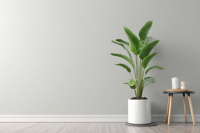 Minimalist interior scene with a tall green houseplant in a white ceramic pot beside a small wooden stool holding candles, set against a soft neutral wall and light floor.