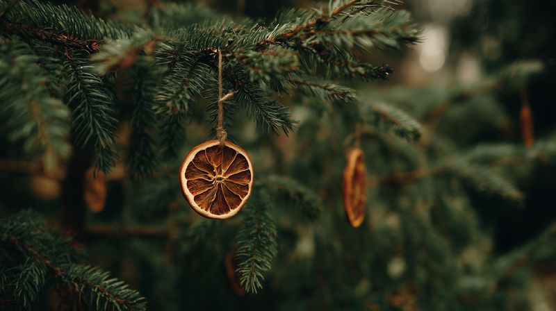 Close-up of dried orange slices hung on evergreen fir branches as natural ornaments, creating a rustic holiday scene with warm tones, soft bokeh and handmade seasonal charm.