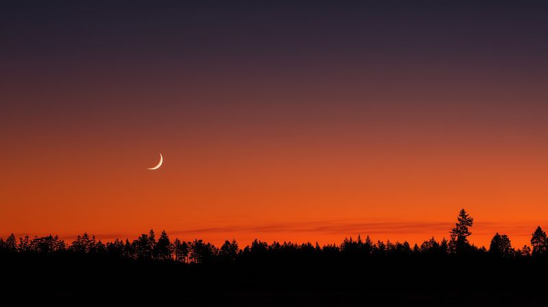 A slender crescent moon rises above a dark tree line against a vivid orange and purple twilight sky, creating a tranquil and dramatic natural landscape at dusk.