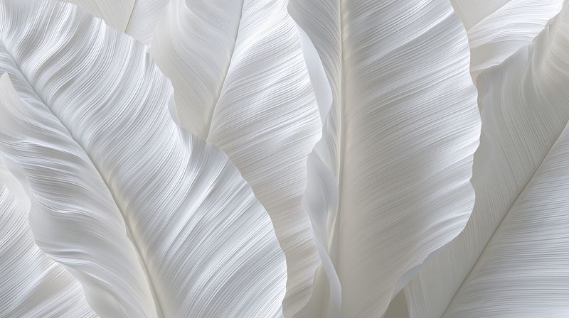 Close-up abstract of white textured fabric with soft flowing folds and subtle shadows, creating a delicate monochrome pattern ideal for minimal and elegant design backgrounds.