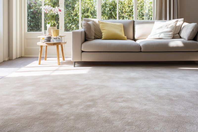 Bright modern living room with neutral sofa, soft cushions, and sunlight pouring through large windows, highlighting a plush carpet and cozy minimalist interior design.