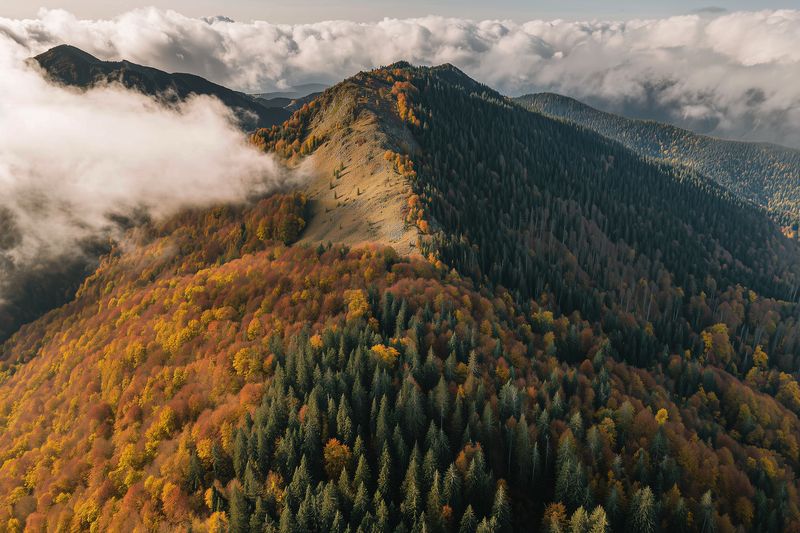 Aerial view of a mountain ridge covered in mixed autumn forest with colorful foliage, dense evergreen trees, and low clouds drifting over peaks, creating a dramatic seasonal landscape.