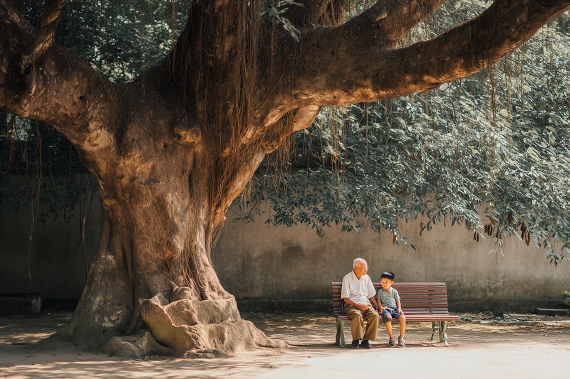 An elderly man and a young boy sit together on a wooden bench beneath a large sprawling tree in a peaceful park, sharing a quiet moment of companionship and warm sunlight filtering through leaves.