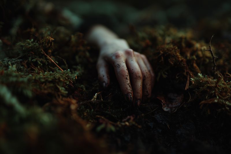 hand moss forest dirt wound buried eerie abandoned closeup of a single injured hand lying in damp moss and soil, mysterious scene with low light and somber mood